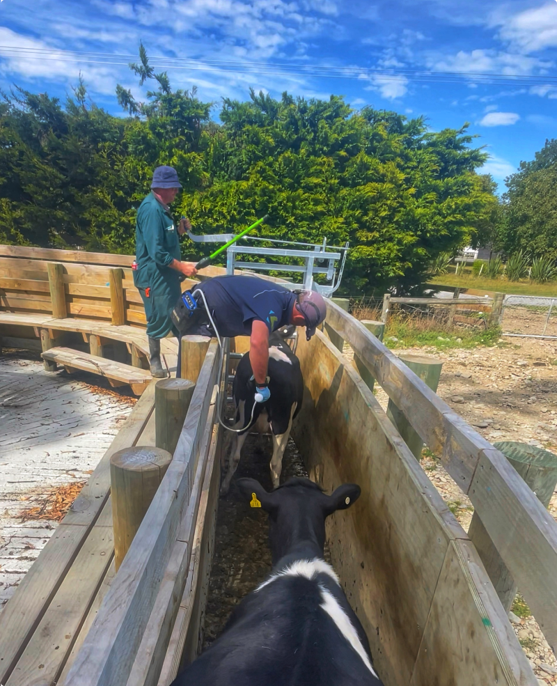 ScanSouth 2-intro-800x985 v2