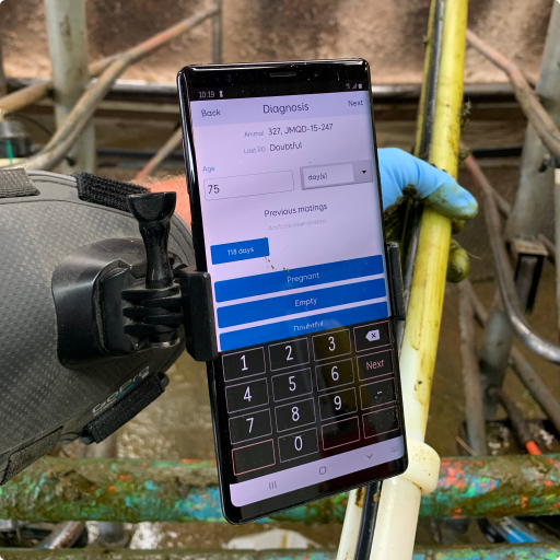 ScanSouth services pregancy diagnosis 512