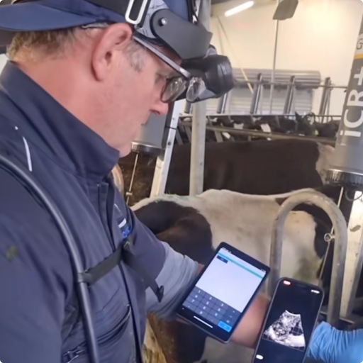 ScanSouth-4-about-512px