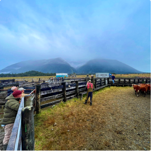 ScanSouth footer images 8 512