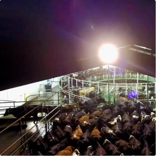 ScanSouth footer images 9 512